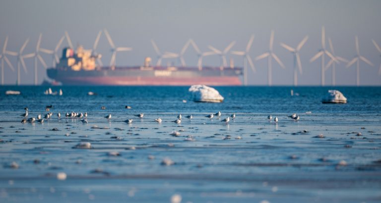 Environmental Policy (Photo by Heino Eisner, via Unsplash)