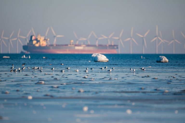 Environmental Policy (Photo by Heino Eisner, via Unsplash)