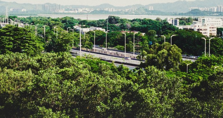 Natural and Urban Environments. Photo by Lin McKty via Unsplash