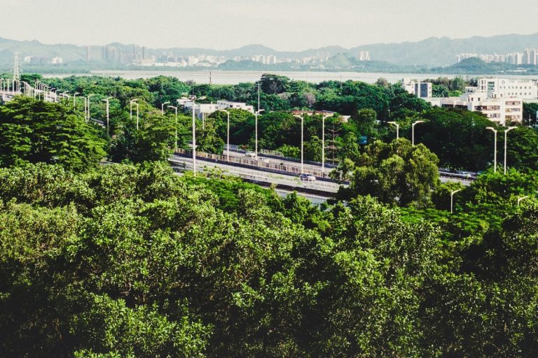 Natural and Urban Environments. Photo by Lin McKty via Unsplash